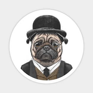 Sir pug Magnet